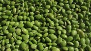 Centre Extends &lsquo;Free&rsquo; Import Policy of Urad and Tur Dal for One Year to March 31, 2025