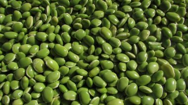 Centre Extends ‘Free’ Import Policy of Urad and Tur Dal for One Year to March 31, 2025