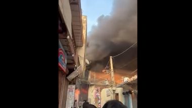 Delhi Fire: Massive Blaze Erupts at Godown in Karawal Nagar; 12 Fire Tenders Rushed To Spot (Watch Video)