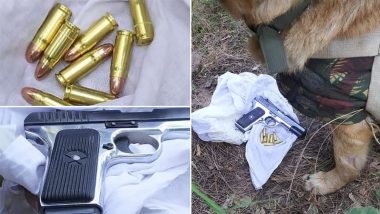 Jammu and Kashmir: Police Seize Pistol and Ammunition During Search Operation in Nowshera, Case Registered (See Pics)