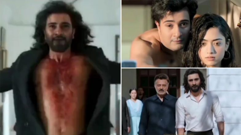 Animal Release: Fan Wishes Ranbir Kapoor and the Entire Team. Imagines Mahesh Babu As Lead in a Clever Edit (Watch Video)