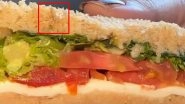 IndiGo Passenger Finds Worm in Sandwich Served Onboard Delhi-Mumbai Flight; Airline Apologises (Watch Video)