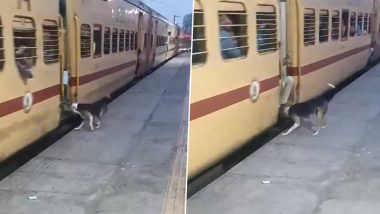 Dog Ensures No Travelling on Footboard in Train, Video Goes Viral