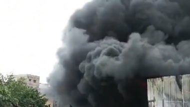 Kolkata Fire Video: Massive Blaze Engulfs Plastic Factory at BK Paul Temple Road, Several Fire Tenders Rush to the Scene