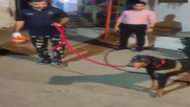 India News | Mumbai Police's Sniffer Dog 'Leo' Finds Missing 6-year-old Child