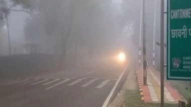 India News | Haryana: Cold Wave and Fog Hit Ambala