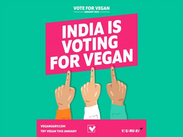 Business News | India Votes For Vegan It is a Clear Majority as Nearly 60 Per Cent Indians Want to Try Vegan - Vimarsana News