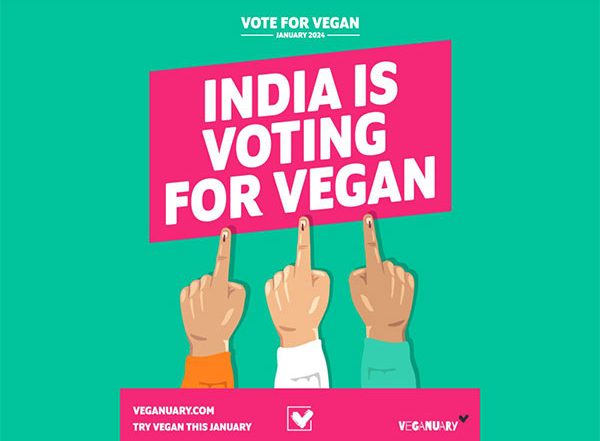Business News | India Votes For Vegan It is a Clear Majority as Nearly 60 Per Cent Indians Want to Try Vegan