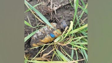 India News | BSF, Punjab Police Recover Contraband Drugs from Punjab's Tarn Taran District