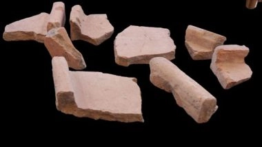 World News | Roof Tiles Found in Jerusalem Traced to Greek King Antiochus IV of Chanukah Fame
