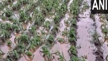 India News | Odisha Special Relief Commissioner Asks District Collectors to Assess Damage Caused Due to Cyclone Michaung