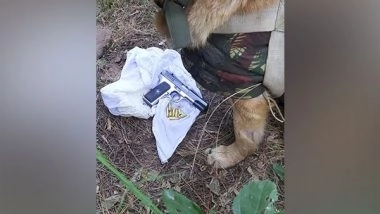 India News | J-K: Security Personnel Recover Pistol, Ammunition During Search Op in Rajouri