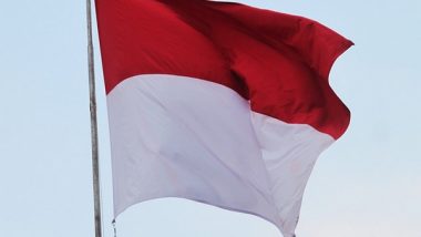 Visa Free Entry in Indonesia: Southeast Asian Country Proposes Free Entry Visas for Travellers From 20 Countries Including India