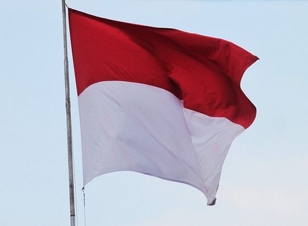 Visa Free Entry in Indonesia: Southeast Asian Country Proposes Free Entry Visas for Travellers From 20 Countries Including India
