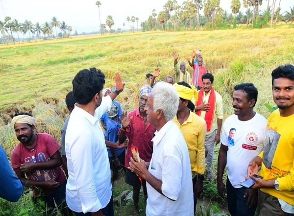 India News | Andhra Pradesh: TDP General Secretary Nara Lokesh Inspects Paddy Fields Damaged by Cyclone Michaung in Tuni