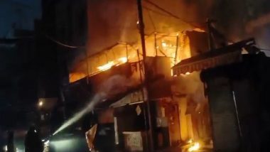 Madhya Pradesh Fire: Massive Blaze Erupts at Food Stall in Indore's Shakkar Bazaar, Brought Under Control (Watch Video)