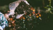 Science News | AI Anticipates Impact of Microplastics on Soil Properties: Study