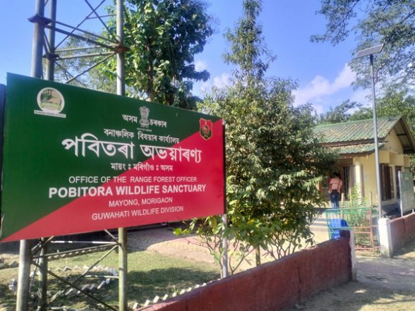India News | Assam's Pobitora Wildlife Sanctuary Sees Increased Tourist Footfall Ahead of New Year - Vimarsana News