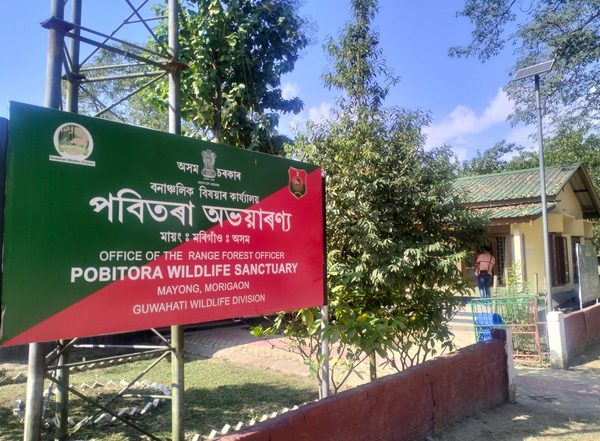 India News | Assam's Pobitora Wildlife Sanctuary Sees Increased Tourist Footfall Ahead of New Year