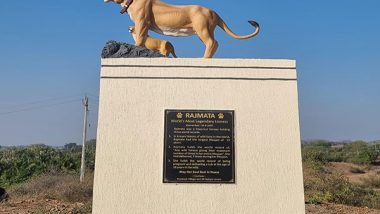 India News | World's Most Legendary Lioness': A Befitting Tribute for Collarwali in Amreli