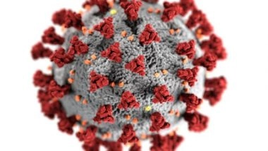 India News | Maharashtra Reports 129 Fresh COVID-19 Cases; Number of People Infected with JN.1 Variant Remains at 10