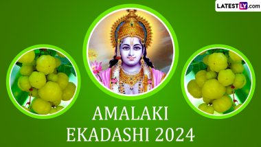 When Is Amalaki Ekadashi 2024? Know Date, Vrat Katha, Parana Time and Significance of the Auspicious Day When the Amla Tree Is Worshipped With Great Devotion