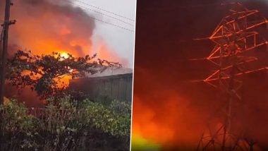 Chennai Fire: Massive Blaze Erupts at Chemical Storage Warehouse in Andarkuppam, Fire Tenders Present at Spot (Watch Video)