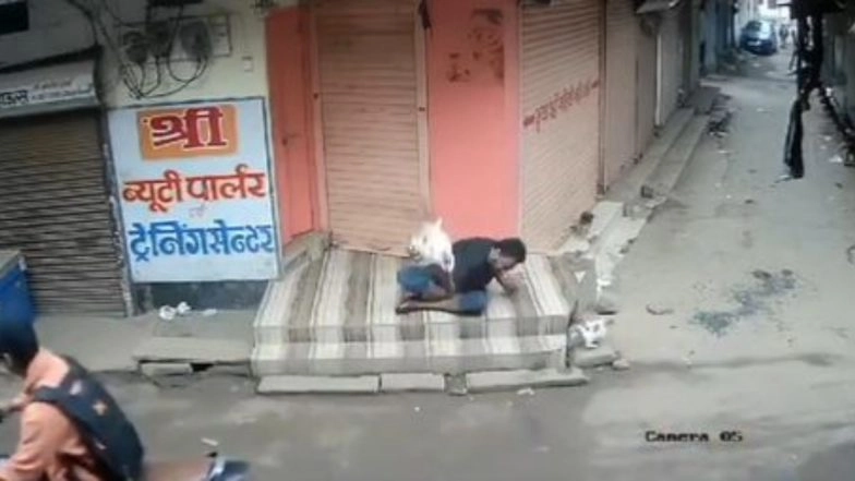 Animal Cruelty in Madhya Pradesh: Man Violently Kicks Puppy After Throwing Him on Ground in Guna; Minister Jyotiraditya Scindia Demands Punishment After Heart-Wrenching Video Surfaces