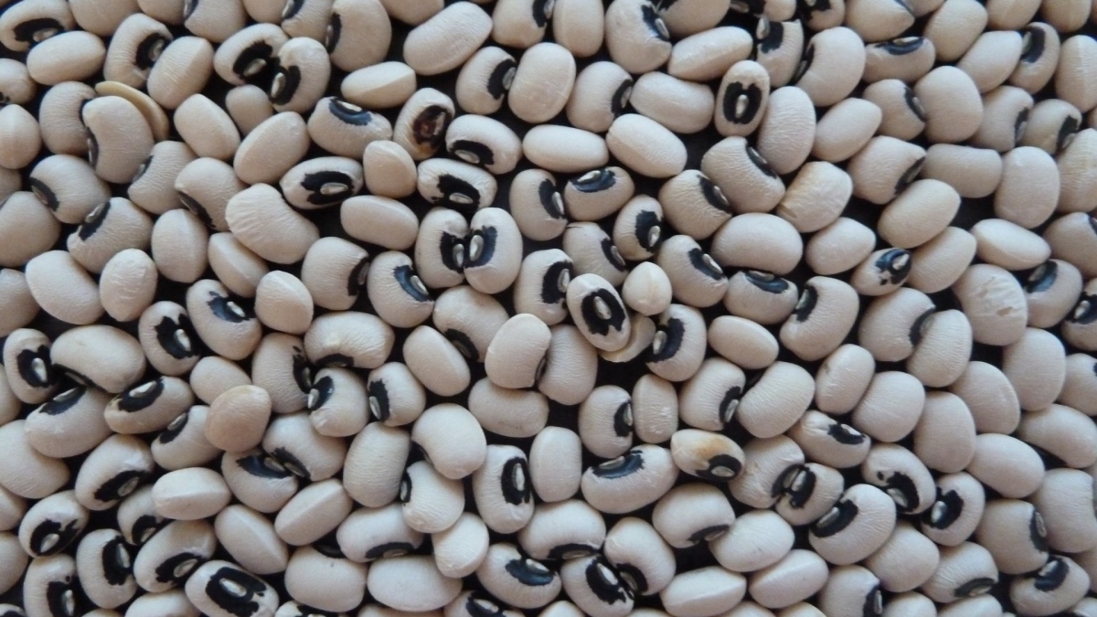 New Year 2024 Lucky Foods: From Black Eyed Peas to Long Noodles, 5 ...