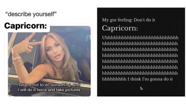Get Ready for Capricorn Season: Funny Memes, Hilarious Jokes, and GIFs To Celebrate the Earthy Zodiac Sign!