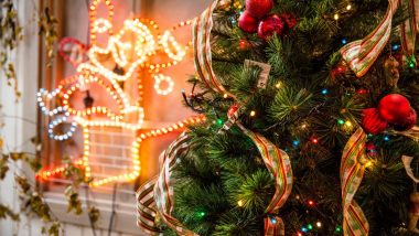 Christmas 2023 Decoration Ideas: From 'How To Hang Christmas Lights' to 'How To Fluff a Christmas Tree,' Get All the Important Hacks and Tips To Make Christmas Merrier!