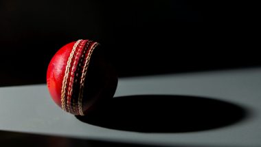 Madhya Pradesh: 22-Year-Old Man Suffers Heart Attack During Cricket Match, Dies in Khargone District