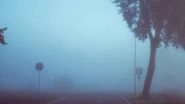 India Weather Forecast and Update: IMD Issues Dense Fog Alert for Northwest, Parts of Adjoining Central India for Another 3&ndash;4 Days