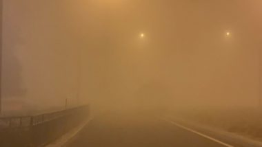 Fog Alert Issued for Five States Including Madhya Pradesh, West Bengal on December 10 and 11