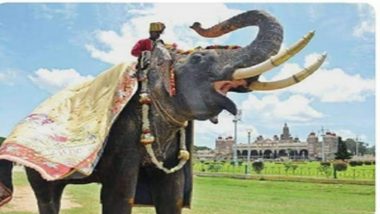 Karnataka CM Siddaramaiah Announces Memorial for 63-Year-Old Elephant ‘Arjuna’, Killed During Operation To Capture Tusker