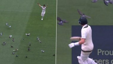 Marnus Labuschagne, Hasan Ali Chase Away Pigeons From Bowlers’ End at MCG During AUS vs PAK 2nd Test 2023, Videos Go Viral!