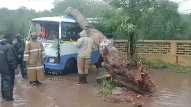 Thoothukudi School Holiday Due to Rains: All Schools and Colleges to Remain Closed in District on December 18 Due to Heavy Rainfall in Tamil Nadu