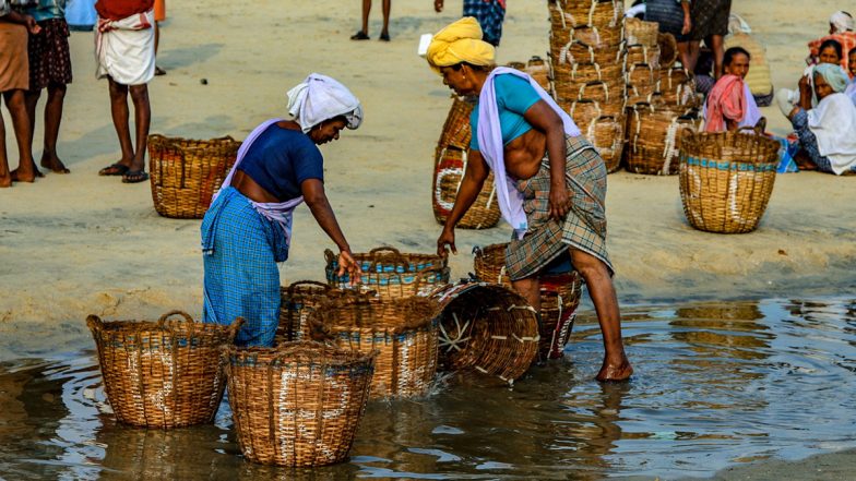 Bombay Duck Fish Theft in Mumbai: 696 Kg of Dried Bombil Worth Rs 1.50 Lakh Stolen From Marol Fish Market; Police Launch Probe