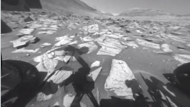 NASA’s Curiosity Mars Rover Records Two Black-and-White Videos of Martian Day, From Dawn to Dusk (Watch Video)
