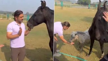 MS Dhoni Plays With Pet Horse Chetak, Adorable Video of CSK Captain Engaging With Animals at a Farm Goes Viral!