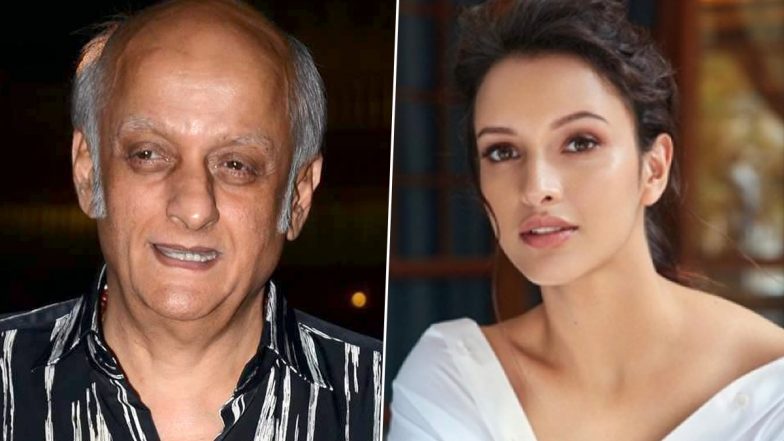 Triptii Dimri in Aashiqui 3? Mukesh Bhatt Dismisses Casting Animal Actress Opposite Kartik Aaryan, Says 'I Haven't Even Met This Lady'!