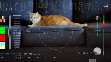NASA Laser Message Beams Video of a Cat From Space Back to Earth Nearly 31 Million Kilometres Away (Watch Video)