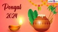 When Is Pongal 2024? Know Date and Significance of the Popular Harvest Festival of Tamil Nadu