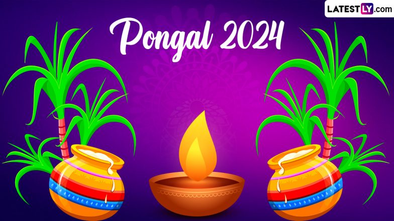 Pongal 2024 Date, Shubh Muhurat & Significance: Full Calendar, Rituals and Traditions; Everything To Know About the Harvest Festival