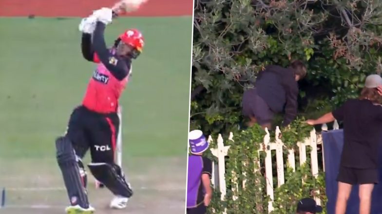 Out of the Park! Quinton de Kock Smashes Massive Six During Melbourne Renegades vs Hobart Hurricanes BBL 2023–24 Match (Watch Video)