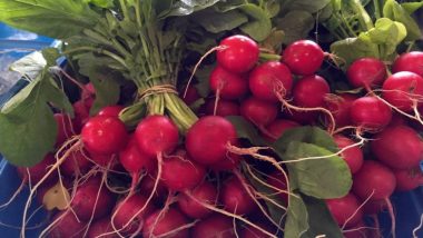 Health Benefits of Radish Greens: From Weight Management to Anti-Inflammatory Effects, 6 Reasons Why One Should Eat Radish Greens in Winter