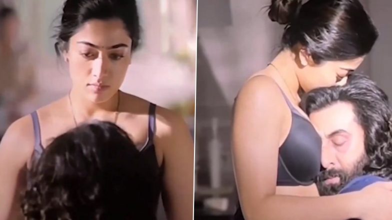 Animal: Hot Intimate Scenes of Rashmika Mandanna in Black Bra With Ranbir Kapoor Leak on Social Media and Take Internet by Storm!