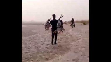 Cruel Act Caught on Camera in Uttar Pradesh: Two Arrested in Kanpur for Killing Migratory Birds, Video Surfaces