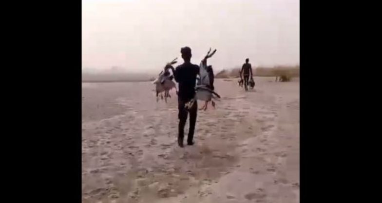 Two Held in UP After Video Showing Migratory Birds Being Killed Goes Viral