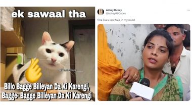 Viral Memes of 2023: From 'Lappu Sa Sachin' & 'Billo Bagge Billeyan' to 'The Boys' & 'ICC Cricket World Cup', Funny Memes and Desi Sarcasm That Got Us Through the Year